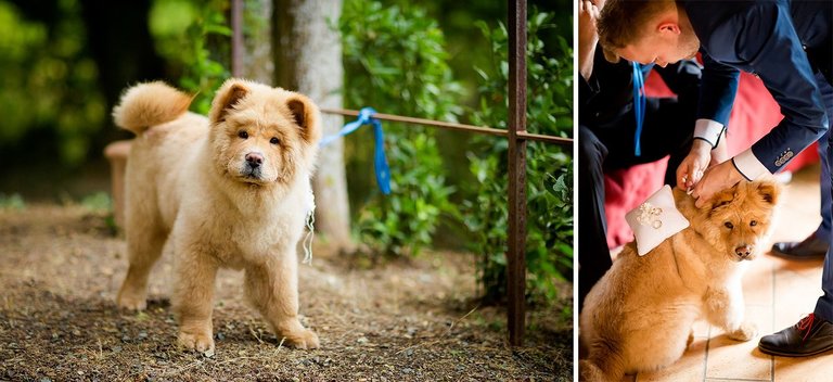 slub we wloszech, slub w toskani, fotograf na slub za granica, fotografia slubna slask, zdjecia slubne krakow, fotograf slubny slask, dwoch fotografow na slub, zdjecia slubne cieszyn, fotografia slubna cieszyn, dwoch fotografow na slub, fotograf slub zagraniczny, wloski slub, fotografia slubna zagraniczna, plener slubny w toskani, sesja slubna w toskani, zagraniczny plener slubny, zagraniczna sesja slubna,