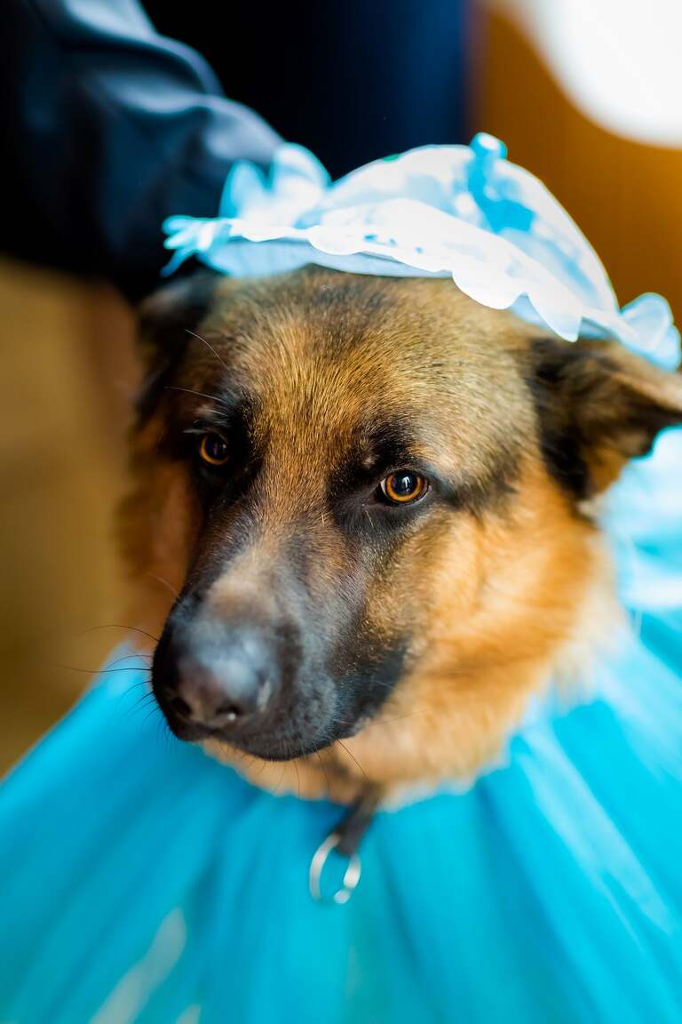 fotografia slubna slask, fotografia slubna katowice, zdjecia slubne katowice, fotograf slubny katowice, zdjecia slubne sosnowiec, fotografia slubna chorzow, zdjecia slubne bielsko, wesele shuma dabrowa gornicza, fotograf slubny bielsko, zdjecia slubne slask, wesele w shumie w dabrowie gorniczej, slub w kosciele podwyzszenia krzyza w sosnowcu, perfect moments, dwoch fotografow na slub, fotografia slubna krakow,