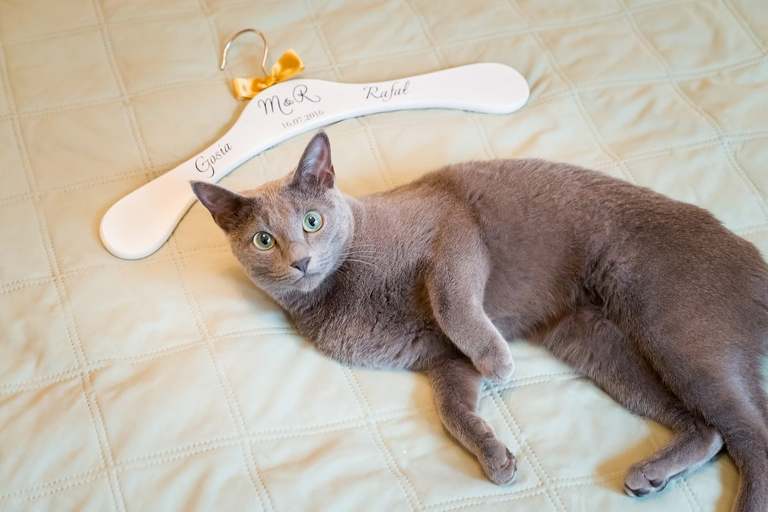 fotografia slubna slask, fotografia slubna katowice, zdjecia slubne katowice, fotograf slubny katowice, zdjecia slubne sosnowiec, fotografia slubna chorzow, zdjecia slubne bielsko, wesele shuma dabrowa gornicza, fotograf slubny bielsko, zdjecia slubne slask, wesele w shumie w dabrowie gorniczej, slub w kosciele podwyzszenia krzyza w sosnowcu, perfect moments, dwoch fotografow na slub, fotografia slubna krakow,