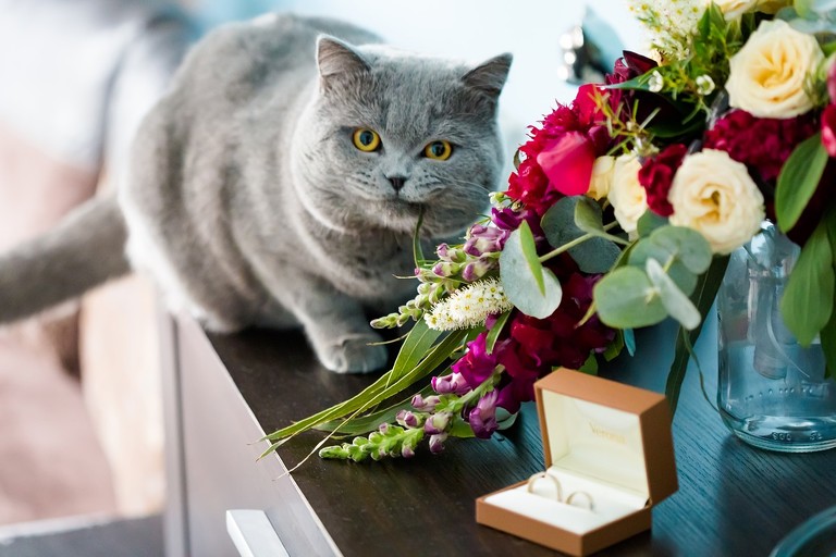 najlepsze zdjecia slubne, najpiekniejsze zdjecia slubne, fotografia slubna slask, zdjecia slubne slask, najlepszy fotograf slubny slask, plener slubny slask, sesje slubne slask, fotograf na slub slask, piekne fotografie slubne slask, dwoch fotografow na slub, fotografia weselna slask, fotografia weselna krakow, naturalna fotografia slubna, zdjecia slubne bielsko, fotograf slubny bielsko, fotografia slubna bielsko, zdjecia slubne krakow, fotografia slubna krakow, fotograf slubny krakow, oryginalna fotografia slubna, www.magiaobrazu.com, Anna i Jacek Bieniek,