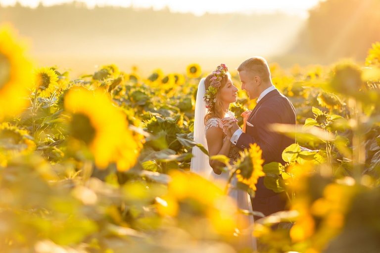 plener slubny o wschodzie slonca, sesja slubna wschod slonca, sesja slubna slask, plener slubny slask, sesja slubna na polu slonecznikow, plener slubny pole slonecznikow, sesja slubna w slonecznikach, plener slubny sloneczniki, romantyczna sesja slubna slask, fotografia slubna czestochowa, zdjecia slubne zawiercie, fotografia ślubna Kraków, fotografia ślubna śląsk, zdjęcia ślubne kraków, fotograf ślubny śląsk, dwóch fotografów na ślub, fotograf czechowice, zdjęcia ślubne bielsko, fotografia ślubna bielsko, www.magiaobrazu.com, Anna i Jacek Bieniek,