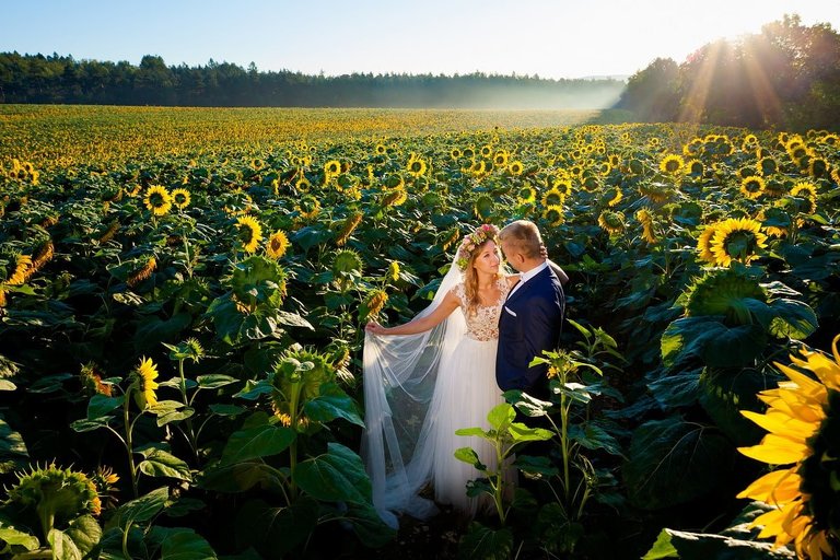 plener slubny o wschodzie slonca, sesja slubna wschod slonca, sesja slubna slask, plener slubny slask, sesja slubna na polu slonecznikow, plener slubny pole slonecznikow, sesja slubna w slonecznikach, plener slubny sloneczniki, romantyczna sesja slubna slask, fotografia slubna czestochowa, zdjecia slubne zawiercie, fotografia ślubna Kraków, fotografia ślubna śląsk, zdjęcia ślubne kraków, fotograf ślubny śląsk, dwóch fotografów na ślub, fotograf czechowice, zdjęcia ślubne bielsko, fotografia ślubna bielsko, www.magiaobrazu.com, Anna i Jacek Bieniek,