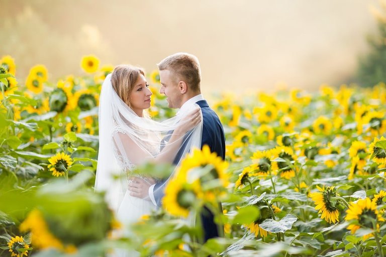 plener slubny o wschodzie slonca, sesja slubna wschod slonca, sesja slubna slask, plener slubny slask, sesja slubna na polu slonecznikow, plener slubny pole slonecznikow, sesja slubna w slonecznikach, plener slubny sloneczniki, romantyczna sesja slubna slask, fotografia slubna czestochowa, zdjecia slubne zawiercie, fotografia ślubna Kraków, fotografia ślubna śląsk, zdjęcia ślubne kraków, fotograf ślubny śląsk, dwóch fotografów na ślub, fotograf czechowice, zdjęcia ślubne bielsko, fotografia ślubna bielsko, www.magiaobrazu.com, Anna i Jacek Bieniek,