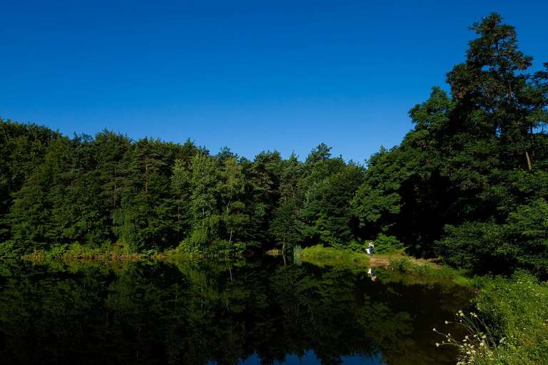 plener slubny o wschodzie slonca, sesja slubna wschod slonca, sesja slubna slask, plener slubny slask, sesja slubna na polu slonecznikow, plener slubny pole slonecznikow, sesja slubna w slonecznikach, plener slubny sloneczniki, romantyczna sesja slubna slask, fotografia slubna czestochowa, zdjecia slubne zawiercie, fotografia ślubna Kraków, fotografia ślubna śląsk, zdjęcia ślubne kraków, fotograf ślubny śląsk, dwóch fotografów na ślub, fotograf czechowice, zdjęcia ślubne bielsko, fotografia ślubna bielsko, www.magiaobrazu.com, Anna i Jacek Bieniek,