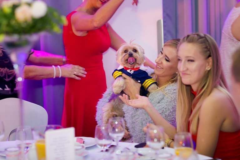 fotografia slubna bytom, zdjecia slubne bytom, fotograf slubny slask, slub w kosciele sw wojciecha w radzionkowie, wesele w the piano bytom, wesele w bytomiu, fotografia slubna katowice, zdjecia slubne katowice, zdjecia slubne zywiec, fotografia slubna, zdjecia slubne bielsko, fotograf slubny bielsko, fotograf slubny cieszyn, fotografia slubna cieszyn, www.magiaobrazu.com, zdjecia slubne bielsko, fotografia slubna slask, zdjecia slubne zywiec, zdjecia slubne cieszyn, dwoch fotografow na slub, zdjecia slubne slask,