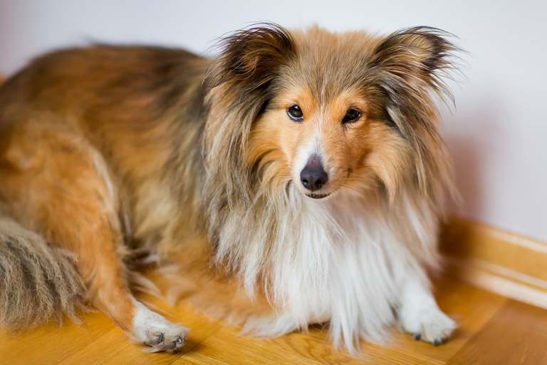 fotografia slubna czechowice, zdjecia slubne czechowice, fotograf slubny slask, slub w kosciele chrystusa odkupiciela w czechowicach, wesele dworek cynkownia w czechowicach, wesele w cynkowni czechowice, dworek stara cynkownia, fotografia slubna katowice, zdjecia slubne katowice, zdjecia slubne zywiec, fotografia slubna, zdjecia slubne bielsko, fotograf slubny bielsko, fotograf slubny cieszyn, fotografia slubna cieszyn, www.magiaobrazu.com, zdjecia slubne bielsko, fotografia slubna slask, zdjecia slubne zywiec, zdjecia slubne cieszyn, dwoch fotografow na slub, zdjecia slubne slask,