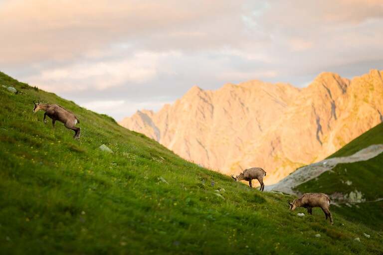 plener slubny w Tatrach, sesja slubna Tatry, fotografia slubna Tatry, tatrzanski plener slubny, sesja slubna tatry, plener slubny tatry, fotografia slubna slask, zdjecia slubne krakow, fotograf na slub zakopane, zdjecia slubne zakopane, sesja slubna na kasprowym, plener slubny na kasprowym, zachod slonca na kasprowym, fotografia slubna krakow, zdjecia slubne slask, fotografia slubna bielsko, zdjecia slubne bielsko, fotografia slubna zywiec, zdjecia slubne zywiec, piekna sesja slubna, najladniejsze sesje slubne, fotograf slubny Krakow, fotografowie slubni, dwoch fotografow na slub, Anna i Jacek Bieniek; zdjecia slubne slask, www.magiaobrazu.com,
