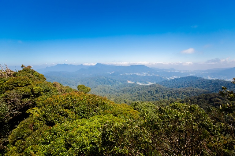 co zobaczyc w malezji, najlepsze miejsca w malezji, co odwiedzic w malezji, wakacje w malezji, malezja najlepsze miejsca, fotografie z podrozy, zdjecia z podrozy, zdjecia z malezjii, Melaka, Melacca, Cameron Highlands, Tanah Rata, Kuala Lumpur, Kuala Kangsar, fotografie z malezji, fotografia podroznicza, travel photography, travel photos, asia photos, malaysia, malaysiani photos, malaysia photography, malaysia travel, best places in malaysia, www.magiaobrazu.com, malezja, pinang, zdjecia z wakacji, zdjecia z azji, fotografie z azji, podroz po azji