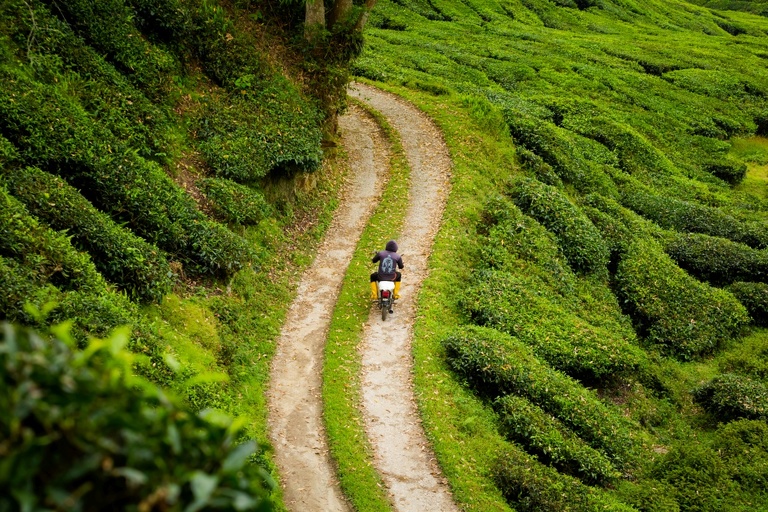 co zobaczyc w malezji, najlepsze miejsca w malezji, co odwiedzic w malezji, wakacje w malezji, malezja najlepsze miejsca, fotografie z podrozy, zdjecia z podrozy, zdjecia z malezjii, Melaka, Melacca, Cameron Highlands, Tanah Rata, Kuala Lumpur, Kuala Kangsar, fotografie z malezji, fotografia podroznicza, travel photography, travel photos, asia photos, malaysia, malaysiani photos, malaysia photography, malaysia travel, best places in malaysia, www.magiaobrazu.com, malezja, pinang, zdjecia z wakacji, zdjecia z azji, fotografie z azji, podroz po azji