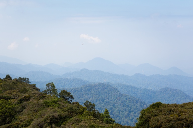 co zobaczyc w malezji, najlepsze miejsca w malezji, co odwiedzic w malezji, wakacje w malezji, malezja najlepsze miejsca, fotografie z podrozy, zdjecia z podrozy, zdjecia z malezjii, Melaka, Melacca, Cameron Highlands, Tanah Rata, Kuala Lumpur, Kuala Kangsar, fotografie z malezji, fotografia podroznicza, travel photography, travel photos, asia photos, malaysia, malaysiani photos, malaysia photography, malaysia travel, best places in malaysia, www.magiaobrazu.com, malezja, pinang, zdjecia z wakacji, zdjecia z azji, fotografie z azji, podroz po azji