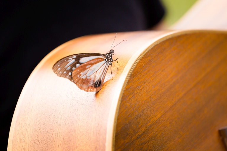 co zobaczyc w malezji, najlepsze miejsca w malezji, co odwiedzic w malezji, wakacje w malezji, malezja najlepsze miejsca, fotografie z podrozy, zdjecia z podrozy, zdjecia z malezjii, Melaka, Melacca, Cameron Highlands, Tanah Rata, Kuala Lumpur, Kuala Kangsar, fotografie z malezji, fotografia podroznicza, travel photography, travel photos, asia photos, malaysia, malaysiani photos, malaysia photography, malaysia travel, best places in malaysia, www.magiaobrazu.com, malezja, pinang, zdjecia z wakacji, zdjecia z azji, fotografie z azji, podroz po azji