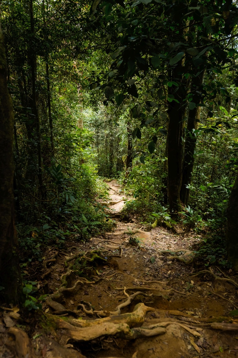 co zobaczyc w malezji, najlepsze miejsca w malezji, co odwiedzic w malezji, wakacje w malezji, malezja najlepsze miejsca, fotografie z podrozy, zdjecia z podrozy, zdjecia z malezjii, Melaka, Melacca, Cameron Highlands, Tanah Rata, Kuala Lumpur, Kuala Kangsar, fotografie z malezji, fotografia podroznicza, travel photography, travel photos, asia photos, malaysia, malaysiani photos, malaysia photography, malaysia travel, best places in malaysia, www.magiaobrazu.com, malezja, pinang, zdjecia z wakacji, zdjecia z azji, fotografie z azji, podroz po azji
