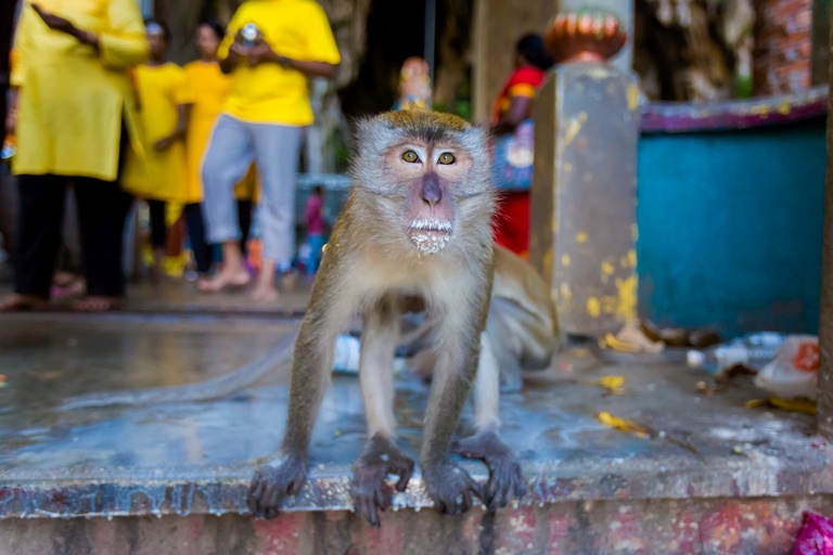 co zobaczyc w malezji, najlepsze miejsca w malezji, co odwiedzic w malezji, wakacje w malezji, malezja najlepsze miejsca, fotografie z podrozy, zdjecia z podrozy, zdjecia z malezjii, Melaka, Melacca, Cameron Highlands, Tanah Rata, Kuala Lumpur, Kuala Kangsar, fotografie z malezji, fotografia podroznicza, travel photography, travel photos, asia photos, malaysia, malaysiani photos, malaysia photography, malaysia travel, best places in malaysia, www.magiaobrazu.com, malezja, pinang, zdjecia z wakacji, zdjecia z azji, fotografie z azji, podroz po azji
