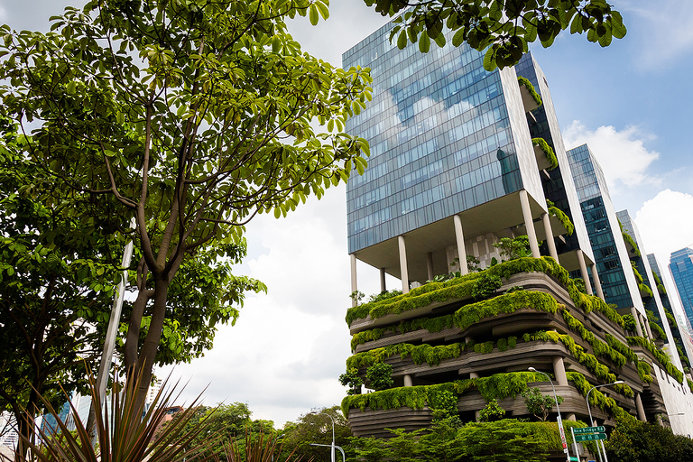 co zobaczyc w singapurze, najlepsze miejsca w singapurze, co odwiedzic w singapurze, wakacje w singapurze, singapur najlepsze miejsca, fotografie z podrozy, zdjecia z podrozy, zdjecia z singapuru, Marina Bay Sands, Garden by the Bay, Orchad road, Clarke Quay, Little India, Little Arab, China Town, fotografie z tajlandii, fotografia podroznicza, travel photography, singapore photography, singapore travel, best places in singapore, www.magiaobrazu.com,zdjecia z wakacji, zdjecia z azji, fotografie z azji, podroz po azji