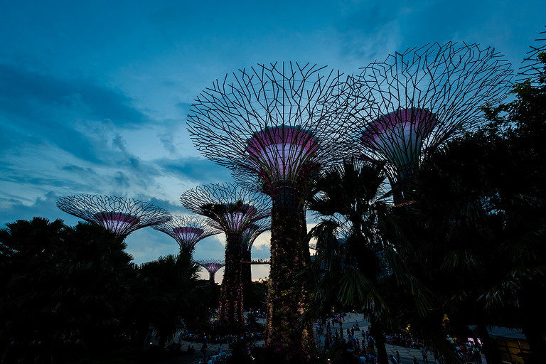 co zobaczyc w singapurze, najlepsze miejsca w singapurze, co odwiedzic w singapurze, wakacje w singapurze, singapur najlepsze miejsca, fotografie z podrozy, zdjecia z podrozy, zdjecia z singapuru, Marina Bay Sands, Garden by the Bay, Orchad road, Clarke Quay, Little India, Little Arab, China Town, fotografie z tajlandii, fotografia podroznicza, travel photography, singapore photography, singapore travel, best places in singapore, www.magiaobrazu.com,zdjecia z wakacji, zdjecia z azji, fotografie z azji, podroz po azji