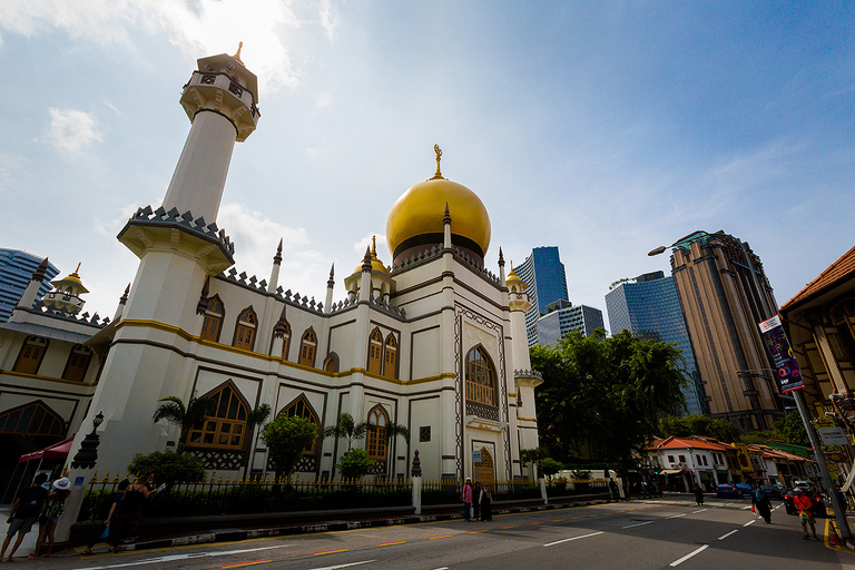 co zobaczyc w singapurze, najlepsze miejsca w singapurze, co odwiedzic w singapurze, wakacje w singapurze, singapur najlepsze miejsca, fotografie z podrozy, zdjecia z podrozy, zdjecia z singapuru, Marina Bay Sands, Garden by the Bay, Orchad road, Clarke Quay, Little India, Little Arab, China Town, fotografie z tajlandii, fotografia podroznicza, travel photography, singapore photography, singapore travel, best places in singapore, www.magiaobrazu.com,zdjecia z wakacji, zdjecia z azji, fotografie z azji, podroz po azji