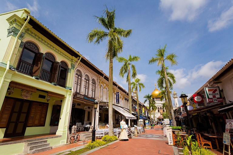 co zobaczyc w singapurze, najlepsze miejsca w singapurze, co odwiedzic w singapurze, wakacje w singapurze, singapur najlepsze miejsca, fotografie z podrozy, zdjecia z podrozy, zdjecia z singapuru, Marina Bay Sands, Garden by the Bay, Orchad road, Clarke Quay, Little India, Little Arab, China Town, fotografie z tajlandii, fotografia podroznicza, travel photography, singapore photography, singapore travel, best places in singapore, www.magiaobrazu.com,zdjecia z wakacji, zdjecia z azji, fotografie z azji, podroz po azji