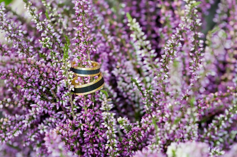 najlepsze zdjecia slubne 2016, najpiekniejsze fotografie slubne 2016, ulubione zdjecia slubne 2016, magia obrazu, fotografia slubna slask, zdjecia slubne slask, dwoch fotografow na slub, zdjecia slubne krakow, fotografia slubna krakow, fotograf slubny krakow, zdjecia slubne bielsko, fotograf slubny bielsko, najpiekniejsze plenery slubne, najladniejsze sesje slubne, najpiekniejsze slubny, fotografia slubna katowice, zdjecia slubne katowice, najlepsze fotografie slubne, najlepszy fotograf slubny,