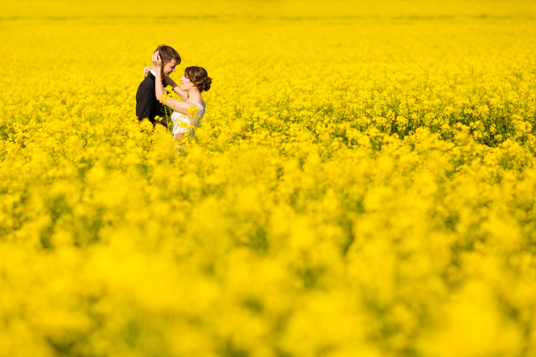 najlepsze zdjecia slubne 2016, najpiekniejsze fotografie slubne 2016, ulubione zdjecia slubne 2016, magia obrazu, fotografia slubna slask, zdjecia slubne slask, dwoch fotografow na slub, zdjecia slubne krakow, fotografia slubna krakow, fotograf slubny krakow, zdjecia slubne bielsko, fotograf slubny bielsko, najpiekniejsze plenery slubne, najladniejsze sesje slubne, najpiekniejsze slubny, fotografia slubna katowice, zdjecia slubne katowice, najlepsze fotografie slubne, najlepszy fotograf slubny,
