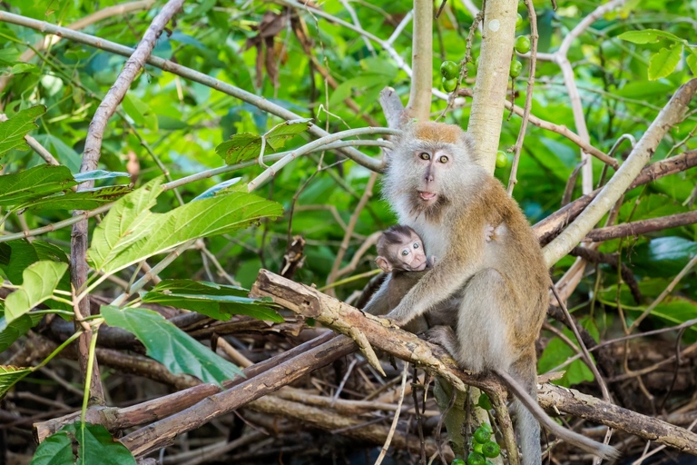 co zobaczyc w malezji, najlepsze miejsca w malezji, co odwiedzic w malezji, wakacje w malezji, malezja najlepsze miejsca, fotografie z podrozy, zdjecia z podrozy, zdjecia z malezjii, Tioman, Pangkor, Langkawi, Penang, fotografie z malezji, fotografia podroznicza, travel photography, travel photos, asia photos, malaysia, malaysiani photos, malaysia photography, malaysia travel, best places in malaysia, www.magiaobrazu.com, malezja, pinang, zdjecia z wakacji, zdjecia z azji, fotografie z azji, podroz po azji