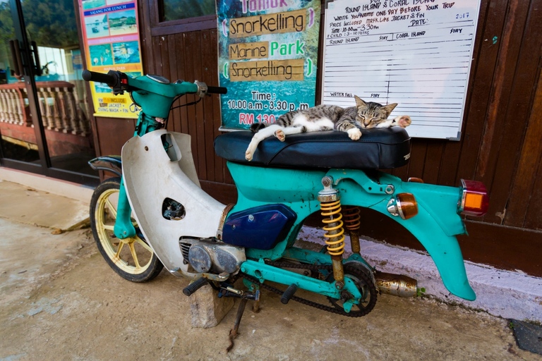 co zobaczyc w malezji, najlepsze miejsca w malezji, co odwiedzic w malezji, wakacje w malezji, malezja najlepsze miejsca, fotografie z podrozy, zdjecia z podrozy, zdjecia z malezjii, Tioman, Pangkor, Langkawi, Penang, fotografie z malezji, fotografia podroznicza, travel photography, travel photos, asia photos, malaysia, malaysiani photos, malaysia photography, malaysia travel, best places in malaysia, www.magiaobrazu.com, malezja, pinang, zdjecia z wakacji, zdjecia z azji, fotografie z azji, podroz po azji