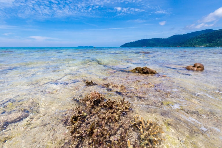 co zobaczyc w malezji, najlepsze miejsca w malezji, co odwiedzic w malezji, wakacje w malezji, malezja najlepsze miejsca, fotografie z podrozy, zdjecia z podrozy, zdjecia z malezjii, Tioman, Pangkor, Langkawi, Penang, fotografie z malezji, fotografia podroznicza, travel photography, travel photos, asia photos, malaysia, malaysiani photos, malaysia photography, malaysia travel, best places in malaysia, www.magiaobrazu.com, malezja, pinang, zdjecia z wakacji, zdjecia z azji, fotografie z azji, podroz po azji