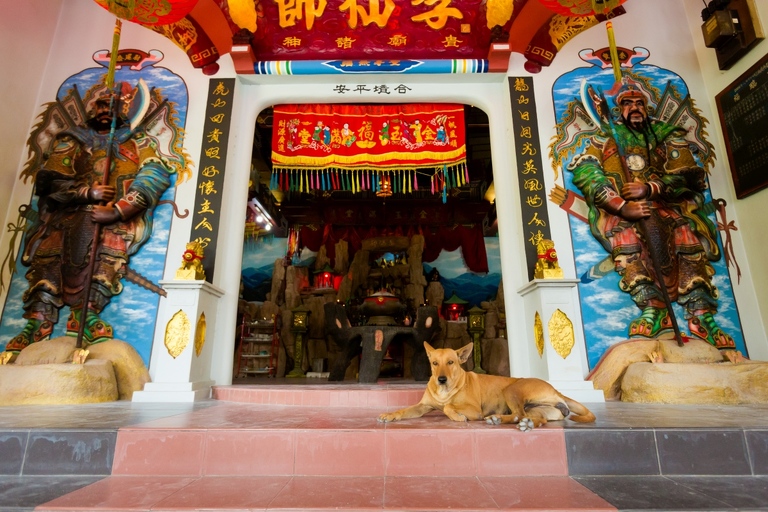 co zobaczyc w malezji, najlepsze miejsca w malezji, co odwiedzic w malezji, wakacje w malezji, malezja najlepsze miejsca, fotografie z podrozy, zdjecia z podrozy, zdjecia z malezjii, Tioman, Pangkor, Langkawi, Penang, fotografie z malezji, fotografia podroznicza, travel photography, travel photos, asia photos, malaysia, malaysiani photos, malaysia photography, malaysia travel, best places in malaysia, www.magiaobrazu.com, malezja, pinang, zdjecia z wakacji, zdjecia z azji, fotografie z azji, podroz po azji