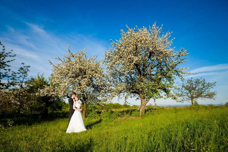 wiosenna sesja slubna, wiosenny plener slubny, sesja slubna w rzepaku, plener slubny rzepak, fotografia slubna krakow, zdjecia slubne krakow, plener slubny w lesie, www.magiaobrazu.com, fotografia slubna, romantyczna sesja slubna, fotografia ślubna, piekny plener slubny, piekna sesja slubna, fotograf ślubny Kraków, fotografowie ślubni, fotograf slask,dwóch fotografów na ślub, Anna i Jacek Bieniek, zdjęcia ślubne śląsk,