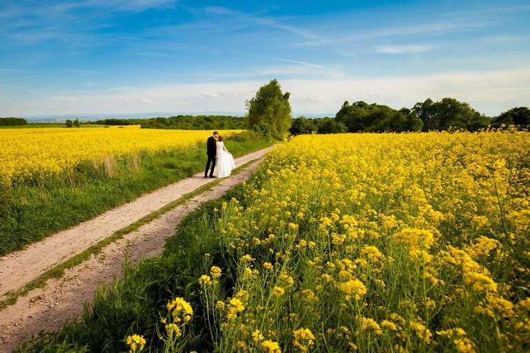 wiosenna sesja slubna, wiosenny plener slubny, sesja slubna w rzepaku, plener slubny rzepak, fotografia slubna krakow, zdjecia slubne krakow, plener slubny w lesie, www.magiaobrazu.com, fotografia slubna, romantyczna sesja slubna, fotografia ślubna, piekny plener slubny, piekna sesja slubna, fotograf ślubny Kraków, fotografowie ślubni, fotograf slask,dwóch fotografów na ślub, Anna i Jacek Bieniek, zdjęcia ślubne śląsk,