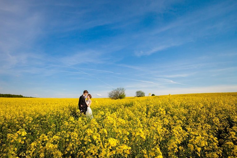 wiosenna sesja slubna, wiosenny plener slubny, sesja slubna w rzepaku, plener slubny rzepak, fotografia slubna krakow, zdjecia slubne krakow, plener slubny w lesie, www.magiaobrazu.com, fotografia slubna, romantyczna sesja slubna, fotografia ślubna, piekny plener slubny, piekna sesja slubna, fotograf ślubny Kraków, fotografowie ślubni, fotograf slask,dwóch fotografów na ślub, Anna i Jacek Bieniek, zdjęcia ślubne śląsk,