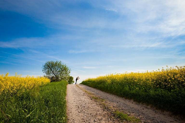 wiosenna sesja slubna, wiosenny plener slubny, sesja slubna w rzepaku, plener slubny rzepak, fotografia slubna krakow, zdjecia slubne krakow, plener slubny w lesie, www.magiaobrazu.com, fotografia slubna, romantyczna sesja slubna, fotografia ślubna, piekny plener slubny, piekna sesja slubna, fotograf ślubny Kraków, fotografowie ślubni, fotograf slask,dwóch fotografów na ślub, Anna i Jacek Bieniek, zdjęcia ślubne śląsk,