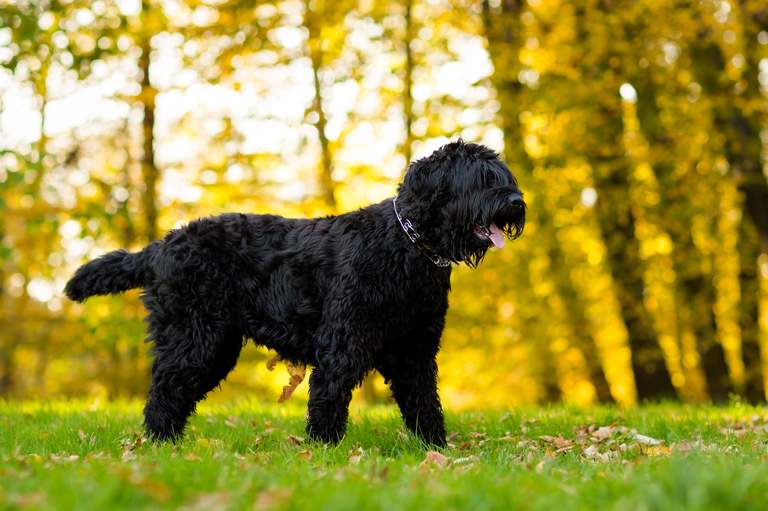 lifestylowa sesja rodzinna pszczyna, lifestylowe sesje rodzinne pszczyna, sesje dzieciece pszczyna, zdjecia dzieciece pszczyna, fotografia noworodkowa pszczyna, sesja rodzinna bielsko, fotografia rodzinna slask, zdjecia portretowe pszczyna, sesja portretowa bielsko, zdjecia w plenerze bielsko, rodzina w plenerze slask, fotografia dziecieca bielsko, zdjecia dzieci bielsko, fotografia rodzinna bielsko-biala, fotografia rodzinna slask, zdjecia ludzi slask, zdjecia dla rodzin, fotograf fotograf rodzinny slask, , fotograf czechowice, fotografia bielsko, zdjecia slask, www.magiaobrazu.com,