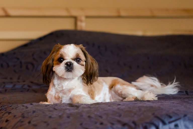 zdjecia slubne zywiec, fotografia slubna zywiec, slub w kozach, wesele w gospodzie krakowskiej, wesele gospoda krakowska kobiernica, fotografia slubna czechowice, zdjecia slubne czechowice, fotograf slubny slask, fotografia slubna katowice, zdjecia slubne katowice, zdjecia slubne zywiec, fotografia slubna, zdjecia slubne bielsko, fotograf slubny bielsko, fotograf slubny cieszyn, fotografia slubna cieszyn, www.magiaobrazu.com, zdjecia slubne bielsko, fotografia slubna slask, zdjecia slubne zywiec, zdjecia slubne cieszyn, dwoch fotografow na slub, zdjecia slubne slask,