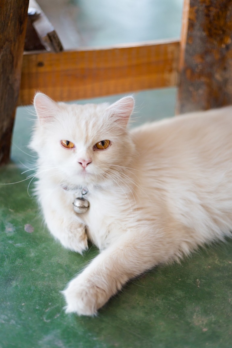 co zobaczyc w tajlandii, najlepsze miejsca w tajlandii, co odwiedzic w tajlandii, wakacje w tajlandii, tajlandia najlepsze miejsca, fotografie z podrozy, zdjecia z podrozy, zdjecia z tajlandii, Bangkok, Koh Chang, Udon Thani, Nakhon Ratthasima, Chiang Mai, Pai, Chiang Rai, Trat, Koh Kood, Koh Larn fotografie z tajlandii, fotografia podroznicza, travel photography, travel photos, asia photos, thailand, thai photos, thailand photography, thailand travel, thai travel, best places in thailand, www.magiaobrazu.com, tajlandia, bangkok, zdjecia z wakacji, zdjecia z azji, fotografie z azji, podroz po azji