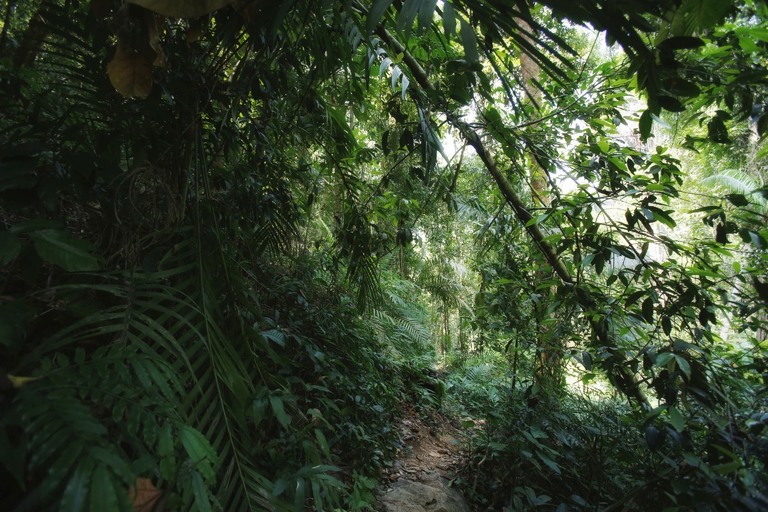 co zobaczyc w tajlandii, najlepsze miejsca w tajlandii, co odwiedzic w tajlandii, wakacje w tajlandii, tajlandia najlepsze miejsca, fotografie z podrozy, zdjecia z podrozy, zdjecia z tajlandii, Bangkok, Koh Chang, Udon Thani, Nakhon Ratthasima, Chiang Mai, Pai, Chiang Rai, Trat, Koh Kood, Koh Larn fotografie z tajlandii, fotografia podroznicza, travel photography, travel photos, asia photos, thailand, thai photos, thailand photography, thailand travel, thai travel, best places in thailand, www.magiaobrazu.com, tajlandia, bangkok, zdjecia z wakacji, zdjecia z azji, fotografie z azji, podroz po azji