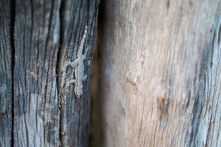 co zobaczyc w tajlandii, najlepsze miejsca w tajlandii, co odwiedzic w tajlandii, wakacje w tajlandii, tajlandia najlepsze miejsca, fotografie z podrozy, zdjecia z podrozy, zdjecia z tajlandii, Bangkok, Koh Chang, Udon Thani, Nakhon Ratthasima, Chiang Mai, Pai, Chiang Rai, Trat, Koh Kood, Koh Larn fotografie z tajlandii, fotografia podroznicza, travel photography, travel photos, asia photos, thailand, thai photos, thailand photography, thailand travel, thai travel, best places in thailand, www.magiaobrazu.com, tajlandia, bangkok, zdjecia z wakacji, zdjecia z azji, fotografie z azji, podroz po azji
