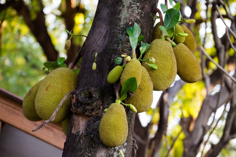 co zobaczyc w tajlandii, najlepsze miejsca w tajlandii, co odwiedzic w tajlandii, wakacje w tajlandii, tajlandia najlepsze miejsca, fotografie z podrozy, zdjecia z podrozy, zdjecia z tajlandii, Bangkok, Koh Chang, Udon Thani, Nakhon Ratthasima, Chiang Mai, Pai, Chiang Rai, Trat, Koh Kood, Koh Larn fotografie z tajlandii, fotografia podroznicza, travel photography, travel photos, asia photos, thailand, thai photos, thailand photography, thailand travel, thai travel, best places in thailand, www.magiaobrazu.com, tajlandia, bangkok, zdjecia z wakacji, zdjecia z azji, fotografie z azji, podroz po azji