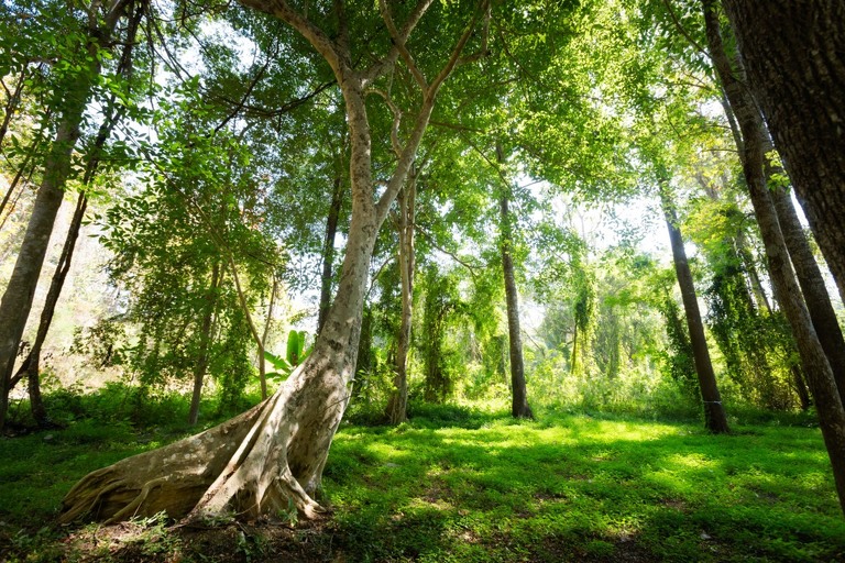 co zobaczyc w tajlandii, najlepsze miejsca w tajlandii, co odwiedzic w tajlandii, wakacje w tajlandii, tajlandia najlepsze miejsca, fotografie z podrozy, zdjecia z podrozy, zdjecia z tajlandii, Bangkok, Koh Chang, Udon Thani, Nakhon Ratthasima, Chiang Mai, Pai, Chiang Rai, Trat, Koh Kood, Koh Larn fotografie z tajlandii, fotografia podroznicza, travel photography, travel photos, asia photos, thailand, thai photos, thailand photography, thailand travel, thai travel, best places in thailand, www.magiaobrazu.com, tajlandia, bangkok, zdjecia z wakacji, zdjecia z azji, fotografie z azji, podroz po azji