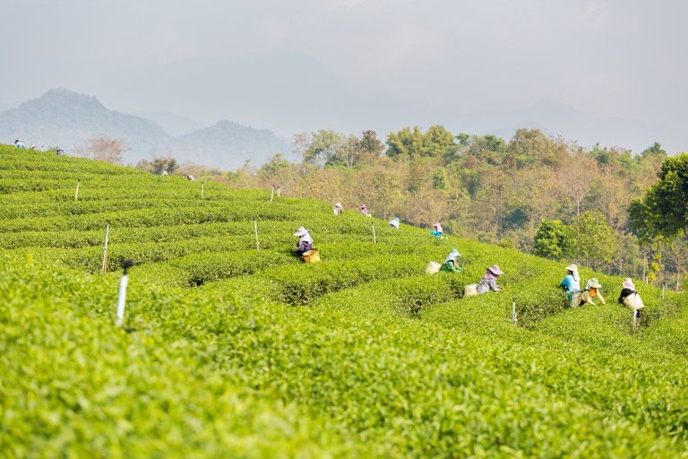 co zobaczyc w tajlandii, najlepsze miejsca w tajlandii, co odwiedzic w tajlandii, wakacje w tajlandii, tajlandia najlepsze miejsca, fotografie z podrozy, zdjecia z podrozy, zdjecia z tajlandii, Bangkok, Koh Chang, Udon Thani, Nakhon Ratthasima, Chiang Mai, Pai, Chiang Rai, Trat, Koh Kood, Koh Larn fotografie z tajlandii, fotografia podroznicza, travel photography, travel photos, asia photos, thailand, thai photos, thailand photography, thailand travel, thai travel, best places in thailand, www.magiaobrazu.com, tajlandia, bangkok, zdjecia z wakacji, zdjecia z azji, fotografie z azji, podroz po azji
