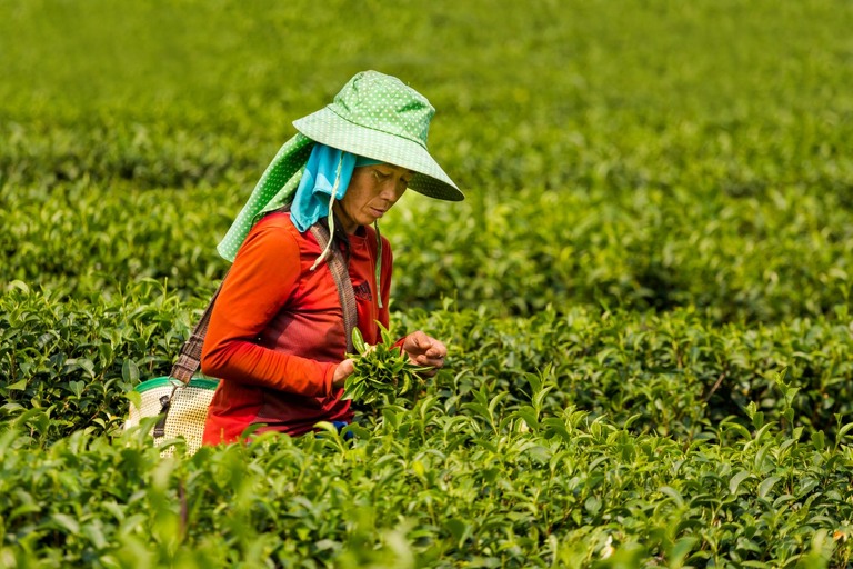 co zobaczyc w tajlandii, najlepsze miejsca w tajlandii, co odwiedzic w tajlandii, wakacje w tajlandii, tajlandia najlepsze miejsca, fotografie z podrozy, zdjecia z podrozy, zdjecia z tajlandii, Bangkok, Koh Chang, Udon Thani, Nakhon Ratthasima, Chiang Mai, Pai, Chiang Rai, Trat, Koh Kood, Koh Larn fotografie z tajlandii, fotografia podroznicza, travel photography, travel photos, asia photos, thailand, thai photos, thailand photography, thailand travel, thai travel, best places in thailand, www.magiaobrazu.com, tajlandia, bangkok, zdjecia z wakacji, zdjecia z azji, fotografie z azji, podroz po azji