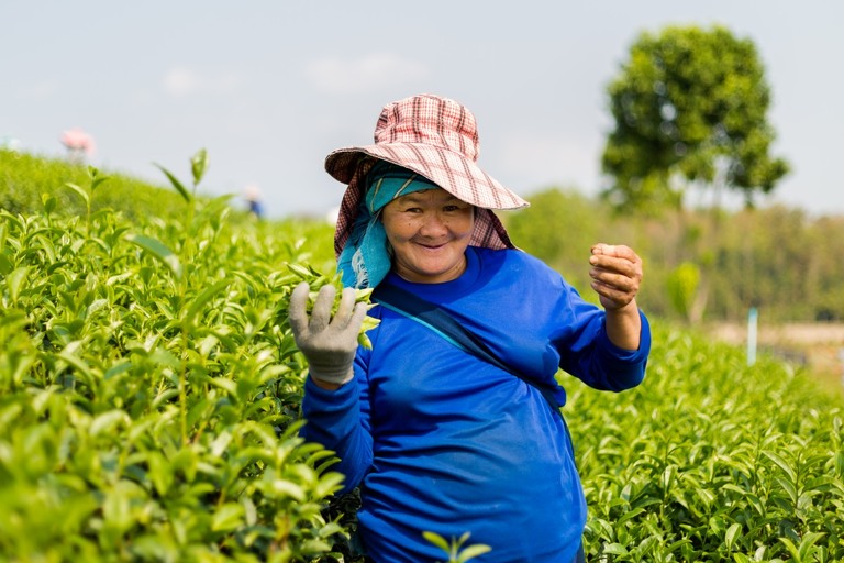 co zobaczyc w tajlandii, najlepsze miejsca w tajlandii, co odwiedzic w tajlandii, wakacje w tajlandii, tajlandia najlepsze miejsca, fotografie z podrozy, zdjecia z podrozy, zdjecia z tajlandii, Bangkok, Koh Chang, Udon Thani, Nakhon Ratthasima, Chiang Mai, Pai, Chiang Rai, Trat, Koh Kood, Koh Larn fotografie z tajlandii, fotografia podroznicza, travel photography, travel photos, asia photos, thailand, thai photos, thailand photography, thailand travel, thai travel, best places in thailand, www.magiaobrazu.com, tajlandia, bangkok, zdjecia z wakacji, zdjecia z azji, fotografie z azji, podroz po azji
