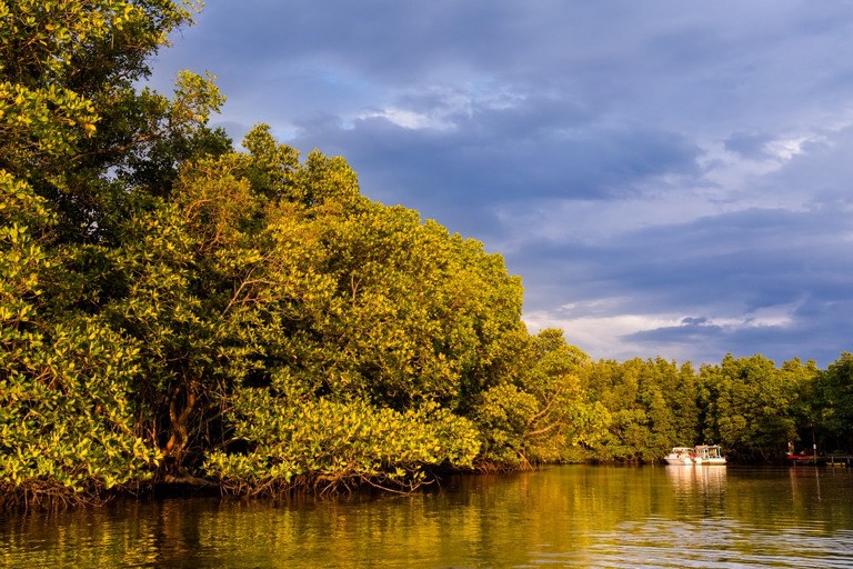 co zobaczyc w tajlandii, najlepsze miejsca w tajlandii, co odwiedzic w tajlandii, wakacje w tajlandii, tajlandia najlepsze miejsca, fotografie z podrozy, zdjecia z podrozy, zdjecia z tajlandii, Bangkok, Koh Chang, Udon Thani, Nakhon Ratthasima, Chiang Mai, Pai, Chiang Rai, Trat, Koh Kood, Koh Larn fotografie z tajlandii, fotografia podroznicza, travel photography, travel photos, asia photos, thailand, thai photos, thailand photography, thailand travel, thai travel, best places in thailand, www.magiaobrazu.com, tajlandia, bangkok, zdjecia z wakacji, zdjecia z azji, fotografie z azji, podroz po azji