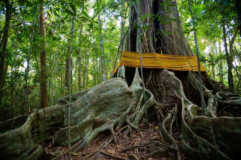 co zobaczyc w tajlandii, najlepsze miejsca w tajlandii, co odwiedzic w tajlandii, wakacje w tajlandii, tajlandia najlepsze miejsca, fotografie z podrozy, zdjecia z podrozy, zdjecia z tajlandii, Bangkok, Koh Chang, Udon Thani, Nakhon Ratthasima, Chiang Mai, Pai, Chiang Rai, Trat, Koh Kood, Koh Larn fotografie z tajlandii, fotografia podroznicza, travel photography, travel photos, asia photos, thailand, thai photos, thailand photography, thailand travel, thai travel, best places in thailand, www.magiaobrazu.com, tajlandia, bangkok, zdjecia z wakacji, zdjecia z azji, fotografie z azji, podroz po azji