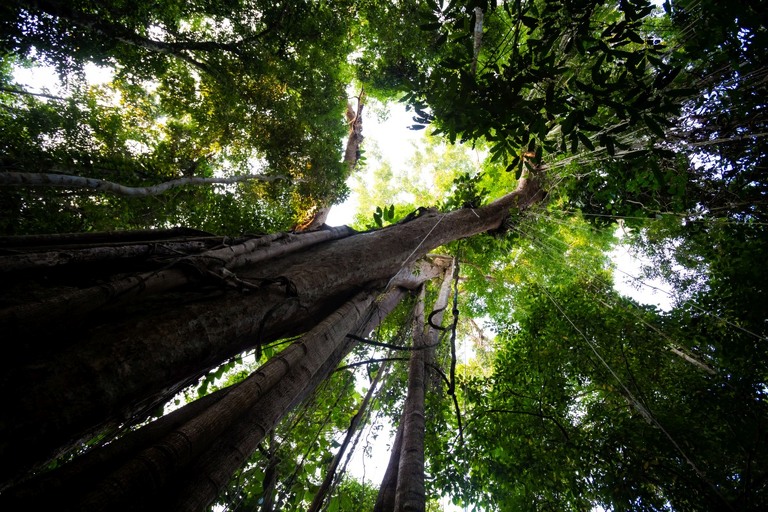 co zobaczyc w tajlandii, najlepsze miejsca w tajlandii, co odwiedzic w tajlandii, wakacje w tajlandii, tajlandia najlepsze miejsca, fotografie z podrozy, zdjecia z podrozy, zdjecia z tajlandii, Bangkok, Koh Chang, Udon Thani, Nakhon Ratthasima, Chiang Mai, Pai, Chiang Rai, Trat, Koh Kood, Koh Larn fotografie z tajlandii, fotografia podroznicza, travel photography, travel photos, asia photos, thailand, thai photos, thailand photography, thailand travel, thai travel, best places in thailand, www.magiaobrazu.com, tajlandia, bangkok, zdjecia z wakacji, zdjecia z azji, fotografie z azji, podroz po azji