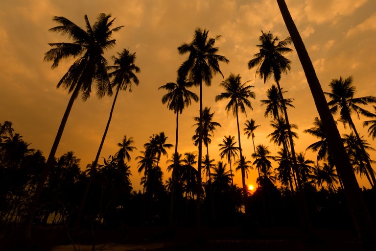 co zobaczyc w tajlandii, najlepsze miejsca w tajlandii, co odwiedzic w tajlandii, wakacje w tajlandii, tajlandia najlepsze miejsca, fotografie z podrozy, zdjecia z podrozy, zdjecia z tajlandii, Bangkok, Koh Chang, Udon Thani, Nakhon Ratthasima, Chiang Mai, Pai, Chiang Rai, Trat, Koh Kood, Koh Larn fotografie z tajlandii, fotografia podroznicza, travel photography, travel photos, asia photos, thailand, thai photos, thailand photography, thailand travel, thai travel, best places in thailand, www.magiaobrazu.com, tajlandia, bangkok, zdjecia z wakacji, zdjecia z azji, fotografie z azji, podroz po azji