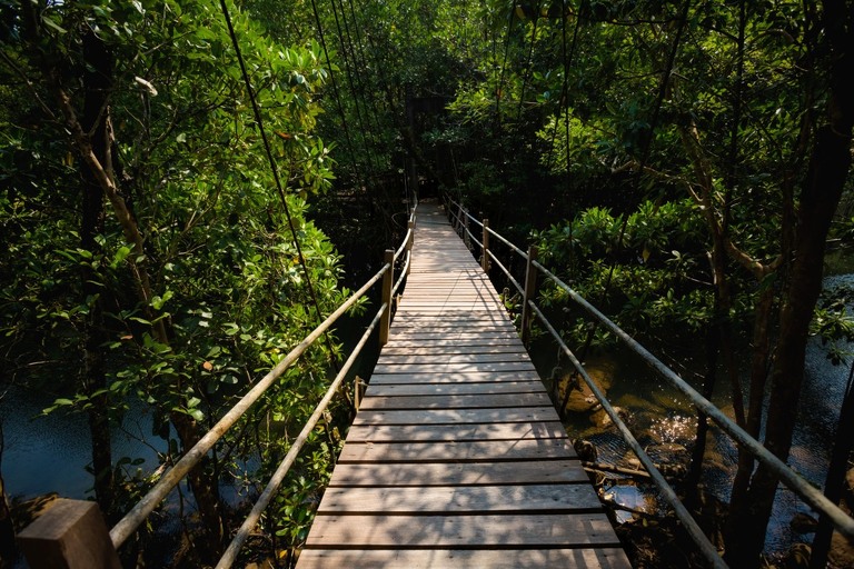 co zobaczyc w tajlandii, najlepsze miejsca w tajlandii, co odwiedzic w tajlandii, wakacje w tajlandii, tajlandia najlepsze miejsca, fotografie z podrozy, zdjecia z podrozy, zdjecia z tajlandii, Bangkok, Koh Chang, Udon Thani, Nakhon Ratthasima, Chiang Mai, Pai, Chiang Rai, Trat, Koh Kood, Koh Larn fotografie z tajlandii, fotografia podroznicza, travel photography, travel photos, asia photos, thailand, thai photos, thailand photography, thailand travel, thai travel, best places in thailand, www.magiaobrazu.com, tajlandia, bangkok, zdjecia z wakacji, zdjecia z azji, fotografie z azji, podroz po azji