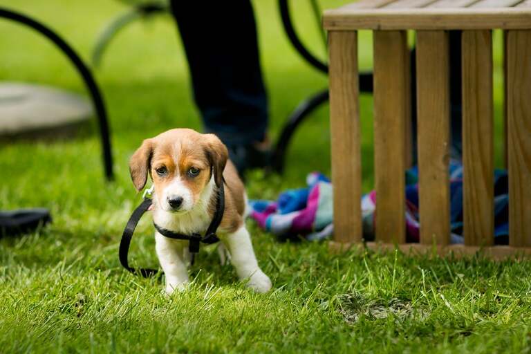 fotograf na chrzest czechowice, zdjecia z chrztu, fotograf bielsko, chrzest w kosciele Boboli w Czechowicach, dobry fotograf pszczyna, profesjonalny fotograf czechowice, reportaz fotograficzny z chrztu, fotograf na chrzest slask, reportaz z chrzcin, fotografia bielsko, dobry fotograf bielsko, fotograf czechowice, fotograf na uroczystosci rodzinne slask