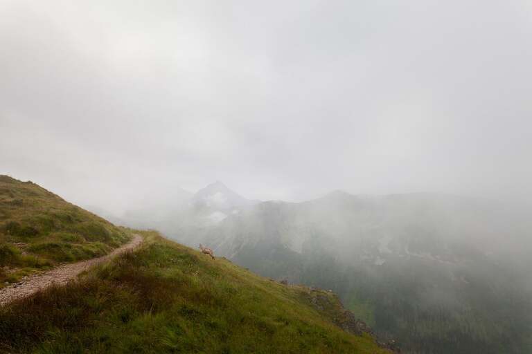 plener slubny w Tatrach, sesja slubna Tatry, fotografia sllubna Tatry, tatrzanski plener slubny, sesja slubna tatry, plener slubny tatry, fotografia slubna slask, zdjecia slubne slask, fotografia slubna bielsko, zdjecia slubne bielsko, fotografia slubna zywiec, zdjecia slubne zywiec, piekna sesja slubna, najladniejsze sesje slubne, fotograf slubny Krakow, fotografowie slubni, dwoch fotografow na slub, Anna i Jacek Bieniek; zdjecia slubne slask, www.magiaobrazu.com,