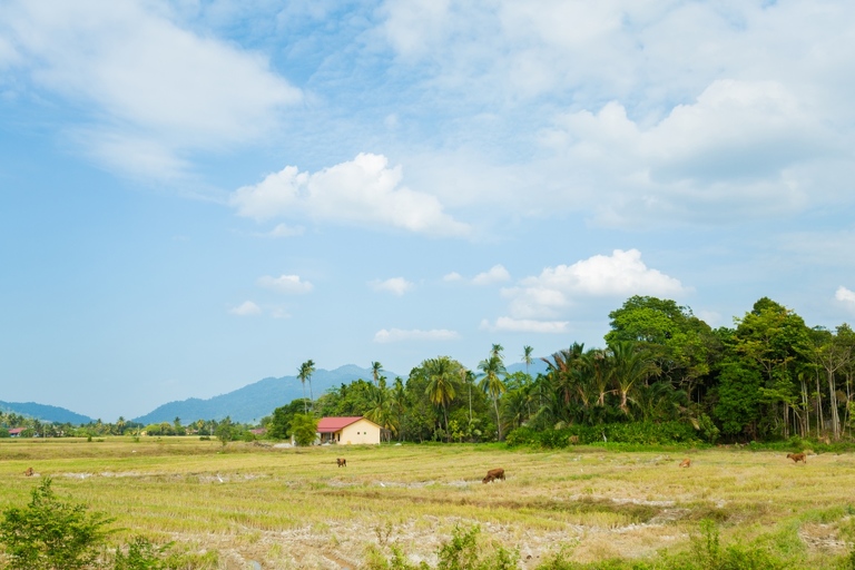 co zobaczyc w malezji, najlepsze miejsca w malezji, co odwiedzic w malezji, wakacje w malezji, malezja najlepsze miejsca, fotografie z podrozy, zdjecia z podrozy, zdjecia z malezjii, Tioman, Pangkor, Langkawi, Penang, fotografie z malezji, fotografia podroznicza, travel photography, travel photos, asia photos, malaysia, malaysiani photos, malaysia photography, malaysia travel, best places in malaysia, www.magiaobrazu.com, malezja, pinang, zdjecia z wakacji, zdjecia z azji, fotografie z azji, podroz po azji