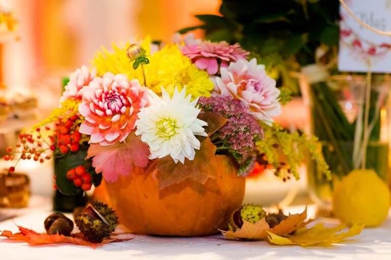 zdjecia slubne bielsko, fotografia slubna bielsko, jesienny plener slubny, jesienna sesja slubna, fotografia slubna zywiec, zdjecia slubne zywiec, slub w kosciele w halcnowie, slub kosciol halcnow bielsko, wesele w dankowicach, osp dankowice, fotografia slubna slask, fotografia slubna katowice, zdjecia slubne katowice, fotograf slubny katowice, zdjecia slubne bielsko, fotograf slubny bielsko, zdjecia slubne slask, dwoch fotografow na slub, fotografia slubna krakow,